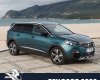 Peugeot 5008   2019 - Bán Peugeot 5008 - Vũng Tàu - Ưu đãi hấp dẫn đang chờ bạn