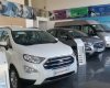 Ford EcoSport Titanium 2019 - Cần bán Ford EcoSport năm sản xuất 2019, màu trắng tại Phú Yên