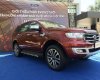 Ford Everest  2.0L AT 2WD 2019 - Bán ô tô Ford Everest 2019, nhập khẩu nguyên chiếc