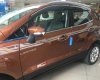 Ford EcoSport Titanium 1.5L AT 2019 - Bán Ford EcoSport Titanium 1.5L AT sản xuất năm 2019, màu nâu
