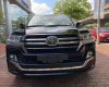 Toyota Land Cruiser VXS   2019 - Bán Toyota Land Cruiser VXS 4 chỗ đời 2020, màu đen, nhập khẩu nguyên chiếc