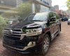 Toyota Land Cruiser VXS   2019 - Bán Toyota Land Cruiser VXS 4 chỗ đời 2020, màu đen, nhập khẩu nguyên chiếc