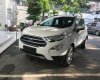 Ford EcoSport   2019 - Bán xe Ford EcoSport năm sản xuất 2019, 549tr