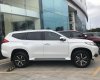 Mitsubishi Pajero 2019 - Bán Mitsubishi Pajero máy dầu, năm sản xuất 2019, màu trắng, thủ tục vay đơn giản