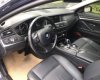 BMW 5 Series 520i 2016 - Bán xe BMW 5 Series 520i đời 2016, màu đen, nhập khẩu