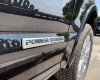 Ford F 150 Platinum 2019 - Bán Ford F 150 Platinum sản xuất 2019, màu đen, nhập khẩu chính hãng
