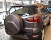 Ford EcoSport Titanium 1.5L AT 2018 - Bán xe Ford Ecosport giá banh nóc chỉ có ở đây