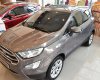 Ford EcoSport Titanium 1.5L AT 2018 - Bán xe Ford Ecosport giá banh nóc chỉ có ở đây