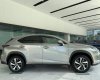 Lexus NX 300 2019 - Bán xe Lexus NX 300 sản xuất 2019, màu vàng, nhập khẩu, sẵn xe giao ngay