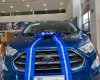 Ford EcoSport   2019 - Bán xe Ford EcoSport năm 2019, màu xanh lam
