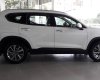 Hyundai Santa Fe 2019 - Bán Santafe 2019, giá cực hot, xe sẵn giao ngay, khuyến mãi quà tặng giá trị - Mr Nam 0779.909.968