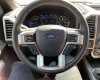 Ford F 150 2019 - Bán xe Ford F 150 Platinum năm 2019, màu đen, nhập khẩu
