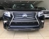 Lexus GX460 Luxury 2019 - Bán xe Lexus GX460 Luxury sản xuất 2019, màu đen, nhập khẩu nguyên chiếc