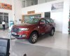 Ford Everest   2019 - Bán Ford Everest sản xuất 2019, màu đỏ, xe nhập, giá 310tr