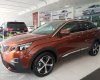 Peugeot 3008 2019 - Bán ô tô Peugeot 3008 sản xuất 2019, màu nâu