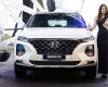 Hyundai Santa Fe 2019 - Bán ô tô Hyundai Santa Fe năm sản xuất 2019, xe nhập