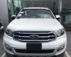 Ford Everest 2.0 Bi-Tubor 2019 - Bán Ford Everest 2.0 10AT Bi-Tubor nhập nguyên chiếc Thái Lan, giá giảm bất ngờ, đủ màu giao ngay 0965.423.558