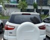 Ford EcoSport  Titanium  2014 - Bán xe Ford EcoSport sản xuất 2014, màu trắng, nhập khẩu  
