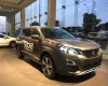 Peugeot 5008 2019 - Bán xe Peugeot 5008 sẵn màu giao xe ngay