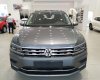 Volkswagen Tiguan 2019 - Bán Volkswagen Tiguan All Space nhập khẩu 2019 nhiều ưu đãi