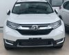 Honda CR V  1.5 TURBO  2019 - Bán Honda CR V 1.5 TURBO năm 2019, nhập khẩu Thái Lan