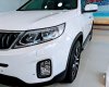 Kia Sorento 2019 - Cần bán xe Kia Sorento năm sản xuất 2019, màu trắng, xe nhập, giá cạnh tranh
