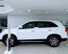 Kia Sorento 2019 - Cần bán xe Kia Sorento năm sản xuất 2019, màu trắng, xe nhập, giá cạnh tranh