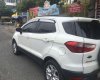 Ford EcoSport 2017 - Bán Ford EcoSport sản xuất 2017, màu trắng