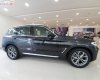 BMW X3   2019 - Bán BMW X3 năm sản xuất 2019, nhập khẩu  