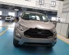 Ford EcoSport 2019 - Bán Ford EcoSport năm sản xuất 2019, khuyến mãi tiền mặt khi mua xe