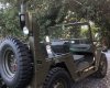 Jeep M151 2003 - Bán Jeep M151 năm 2003, xe nhập