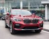 BMW X4 xDrive20i 2019 - Bán ô tô BMW X4 xDrive20i đời 2019, màu đỏ, nhập khẩu nguyên chiếc