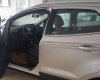 Ford EcoSport 2019 - Cần bán xe Ford EcoSport đời 2019, màu bạc giá cạnh tranh