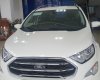 Ford EcoSport 2019 - Cần bán xe Ford EcoSport năm 2019, màu trắng, giá 545tr