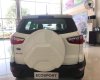 Ford EcoSport 2019 - Bán ô tô Ford EcoSport 2019, mới hoàn toàn