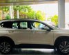 Hyundai Santa Fe 2019 - Bán xe Hyundai Santa Fe đời 2019, màu trắng, 999 triệu