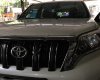 Toyota Prado TXL AT 2016 - Xe Toyota Prado TXL AT năm 2016, màu trắng, xe nhập  