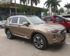 Hyundai Santa Fe 2.2L HTRAC 2019 - Hyundai Đà Lạt bán xe Hyundai Santa Fe 2.2L HTRAC năm 2019