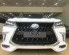 Lexus LX 2019 - Bán xe Lexus LX năm sản xuất 2019, màu đen