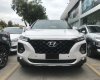 Hyundai Santa Fe 2020 - Bán Hyundai Santa Fe Premium 2020, màu trắng, đen, đỏ, xanh, vàng cát, bạc