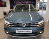 Volkswagen Tiguan 2019 - Bán Volkswagen Tiguan đời 2019, màu xanh, nhập khẩu, nhiều ưu đãi