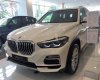 BMW X5 xDrive40i 2019 - Bán BMW X5 xDrive40i 2019, màu trắng, nhập khẩu  