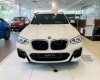 BMW X3 2019 - Bán xe BMW X3 xDrive20i đời 2019, màu trắng, xe nhập