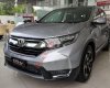 Honda CR V 2019 - Bán Honda CR V đời 2019, màu bạc, nhập khẩu
