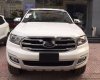 Ford Everest 2019 - Bán Ford Everest sản xuất 2019, nhập khẩu nguyên chiếc