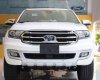 Ford Everest 2019 - Bán Ford Everest sản xuất 2019, nhập khẩu nguyên chiếc