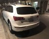 Audi Q5 2012 - Bán Audi Q5 năm 2012, màu trắng, xe nhập