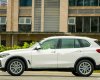 BMW X5 2019 - Bán BMW X5 đời 2019, màu trắng, nhập khẩu nguyên chiếc