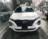 Hyundai Santa Fe 2019 - Cần bán xe Hyundai Santa Fe năm sản xuất 2019, hỗ trợ tốt