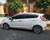 Ford EcoSport 2015 - Gia đình bán Ford EcoSport sản xuất năm 2015, màu trắng, nhập khẩu, 1 chủ